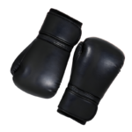 Rutns 12oz Premium PU Leather Boxing Gloves for Men and Women