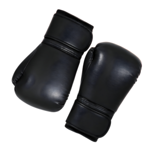 Rutns 12oz Premium PU Leather Boxing Gloves for Men and Women