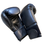 Rutns 14 oz Boxing Gloves for Men & Women, Premium PU Leather Training Gloves for MMA & Kickboxing, Sparring & Punching Bag Gloves with Reinforced Stitching